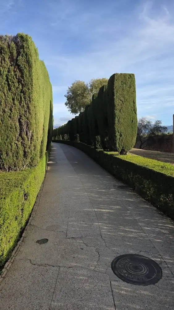 Granada — fotografia 5 din stagiul Erasmus+