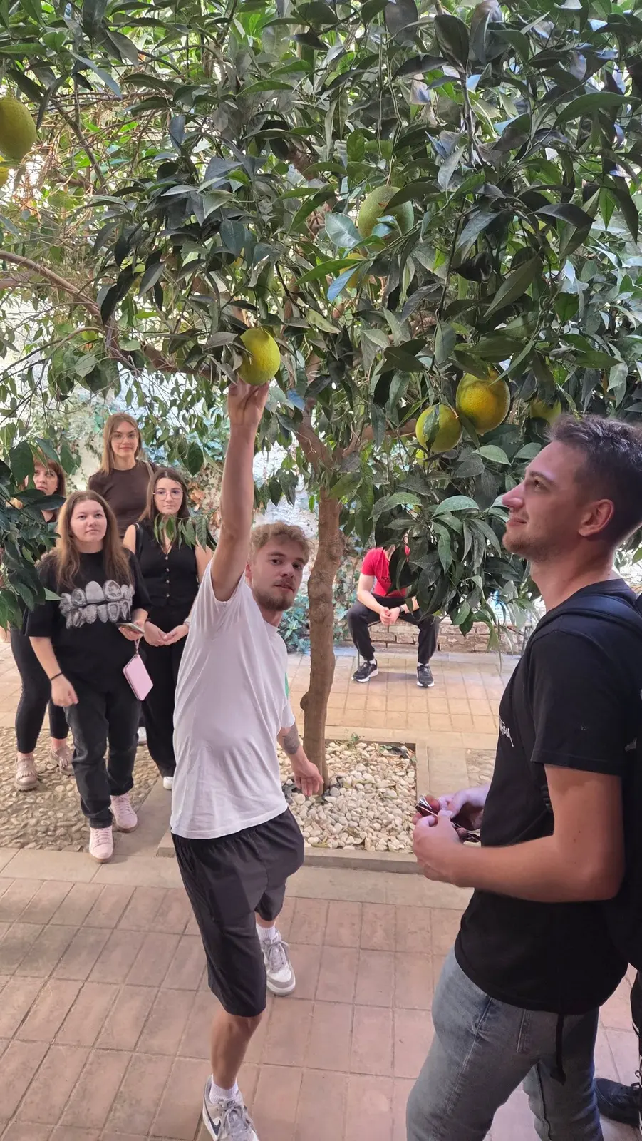 Granada — fotografia 72 din stagiul Erasmus+